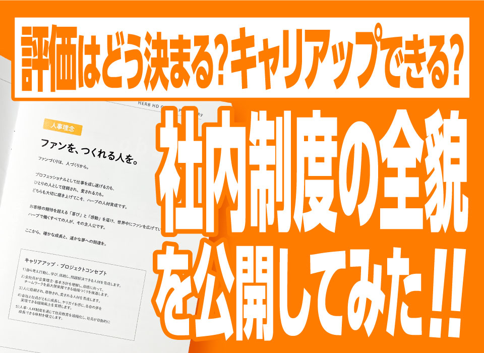 評価はどう決まる？キャリアップできる？社内制度の全貌を公開してみた